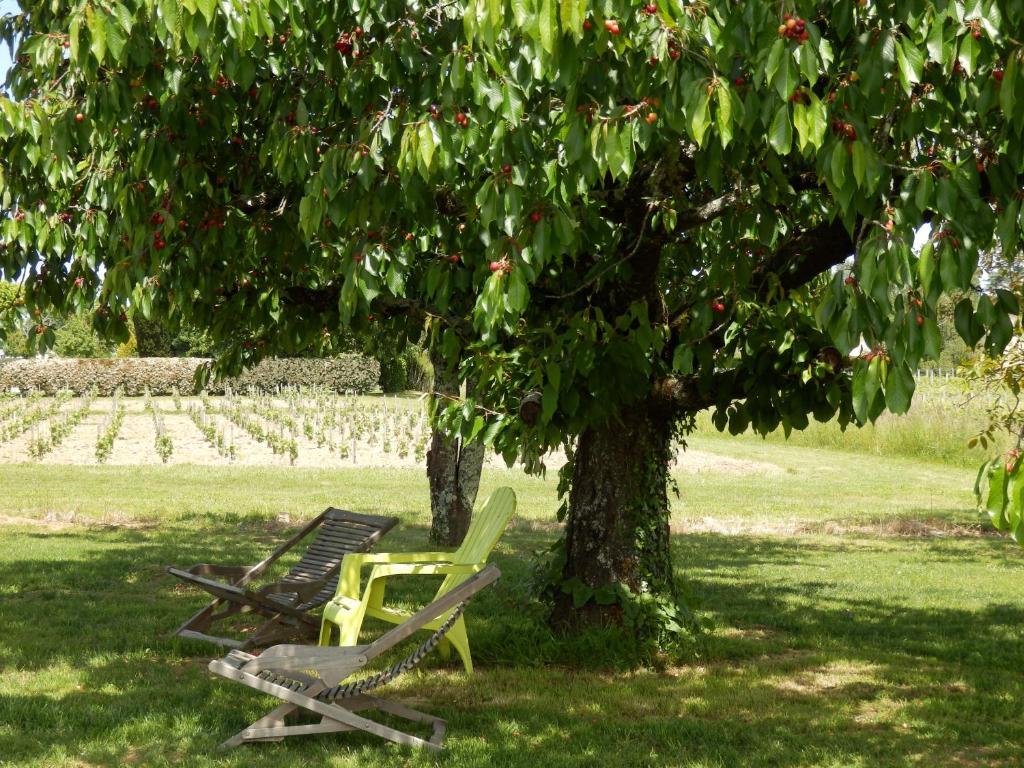 Chateau La Mothe Du Barry Moulon-sur-Dordogne Bagian luar foto